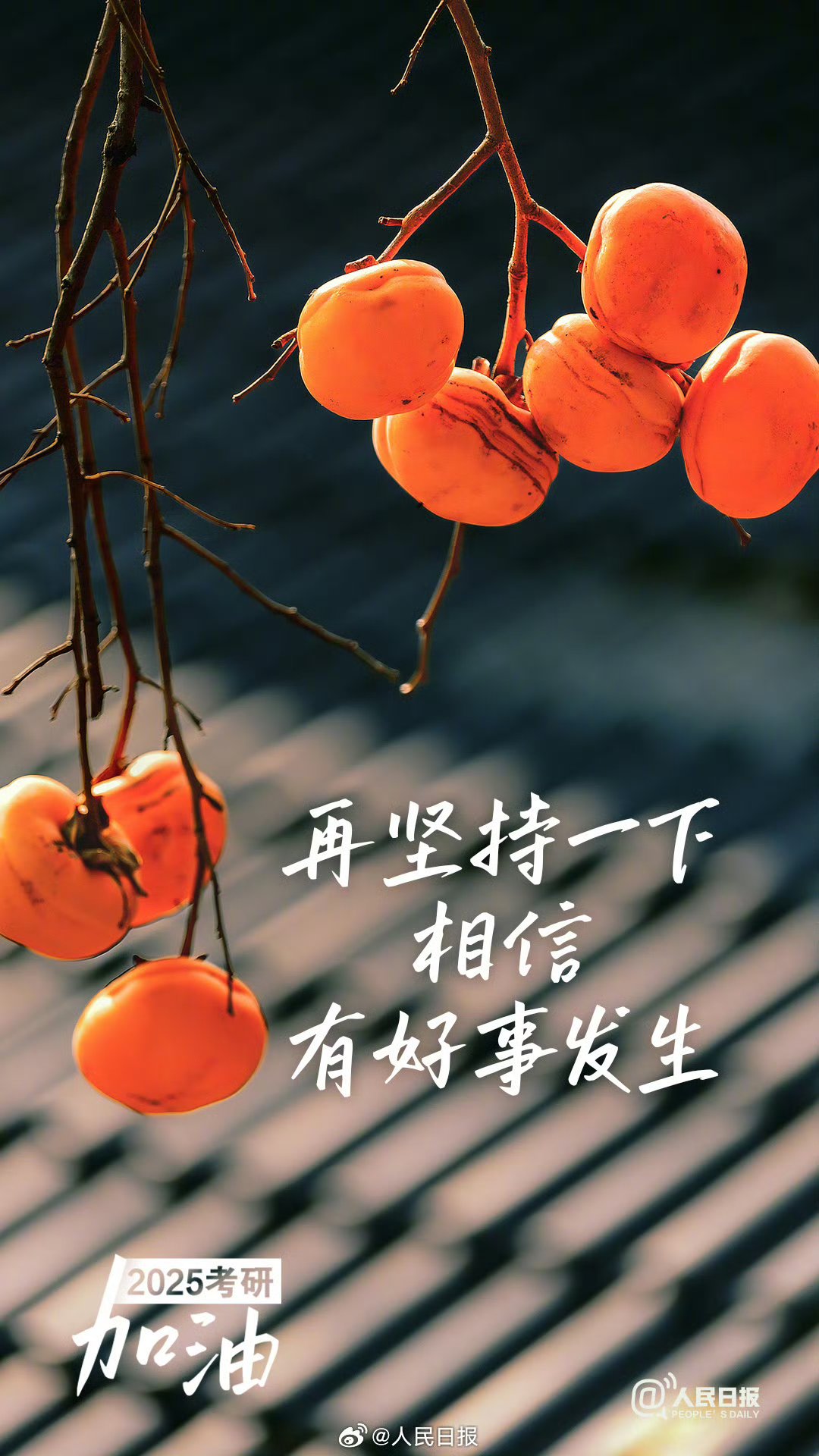 678体育登录入口-辽宁沈阳客场取得胜利，实现关键突破的简单介绍
